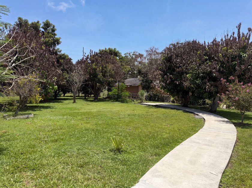 308 30th - photo 22