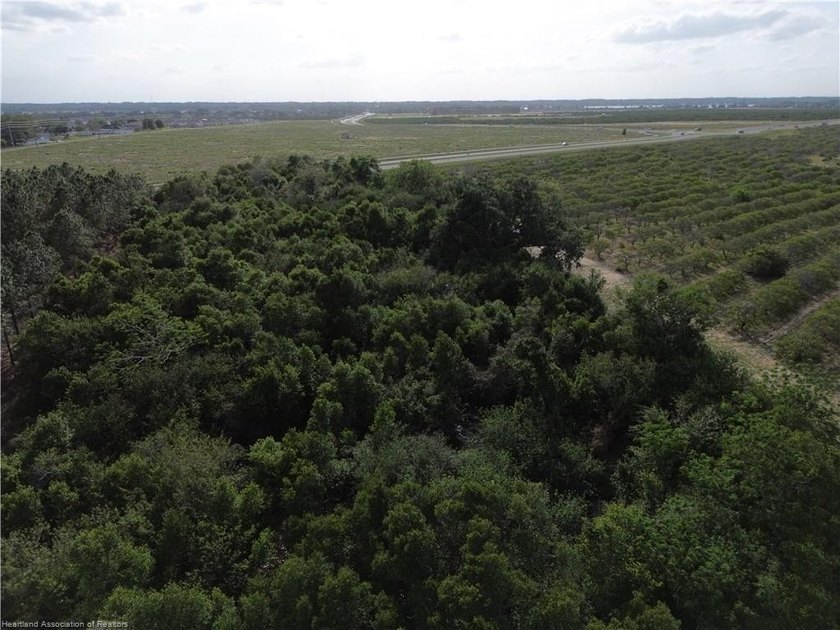 4.5-acre parcel zoned AU, offering a private, wooded setting - photo 3