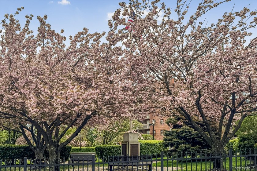 Expansive sun-filled &amp; ideally located! Welcome to Unit 6J at - photo 21
