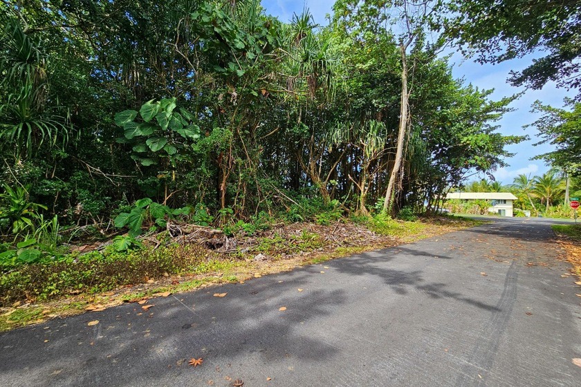 Rare opportunity to own a collection of eight lots near the - photo 3