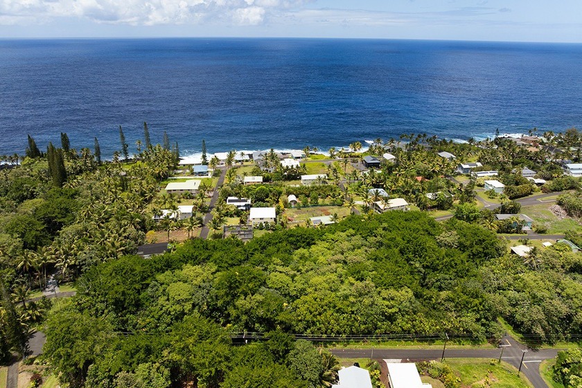 Rare opportunity to own a collection of eight lots near the - photo 9