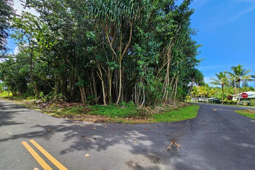 Rare opportunity to own a collection of eight lots near the - photo 3