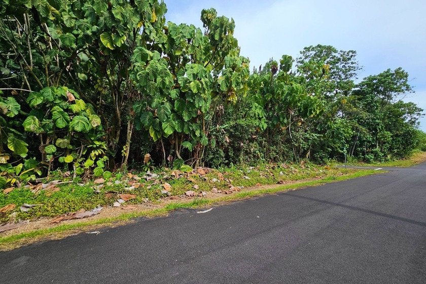 Rare opportunity to own a collection of eight lots near the - photo 3
