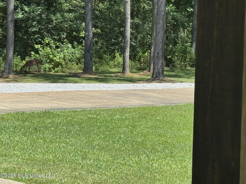 Don't miss this rare opportunity in one of Madison County's most - photo 50