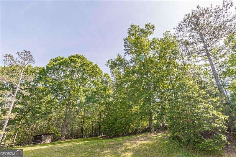 11.5 acres of prime residential property. Ideal for family - photo 14