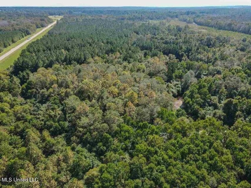 Are you looking for hunting land, or a nice mature track of - photo 3