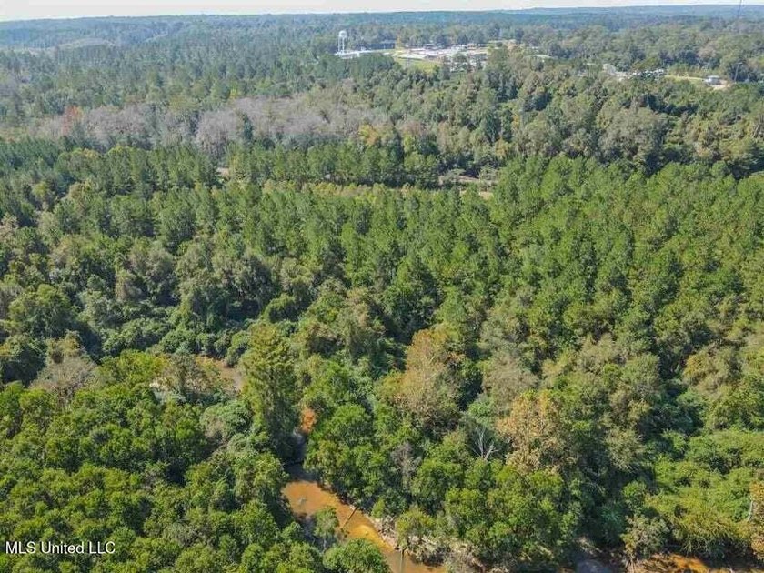 Are you looking for hunting land, or a nice mature track of - photo 4
