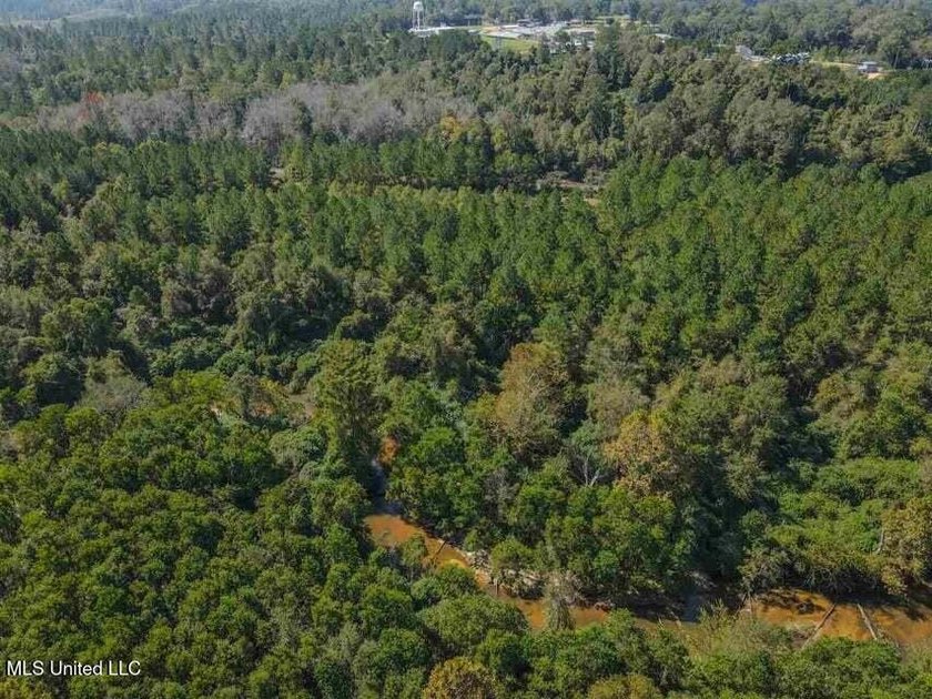 Are you looking for hunting land, or a nice mature track of - photo 5