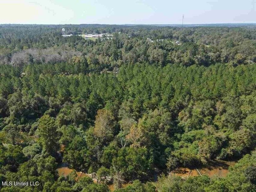 Are you looking for hunting land, or a nice mature track of - photo 6