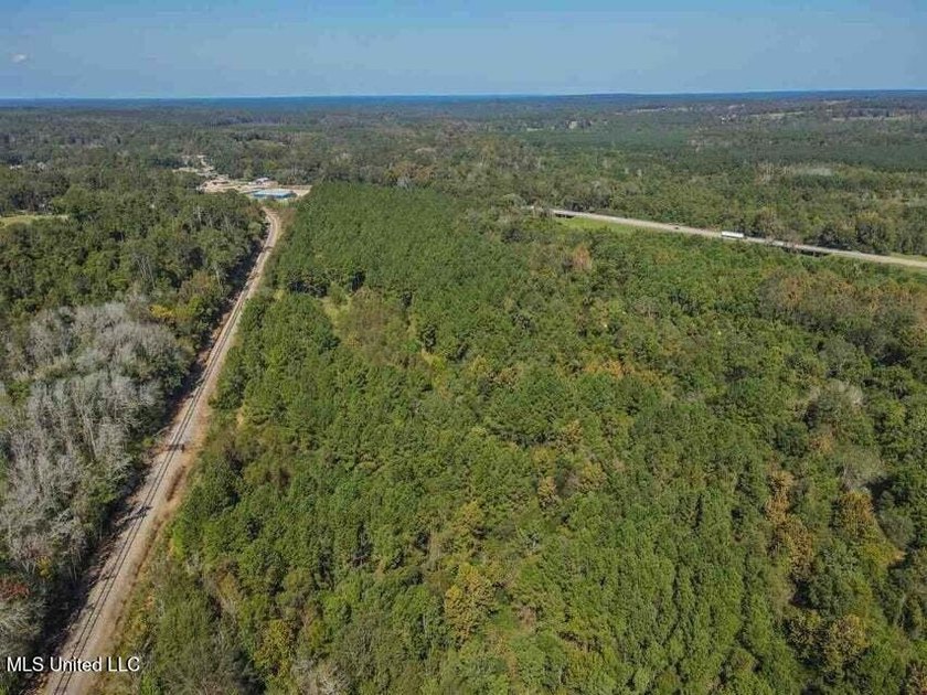 Are you looking for hunting land, or a nice mature track of - photo 9