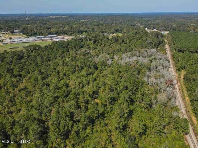 Are you looking for hunting land, or a nice mature track of - photo 10