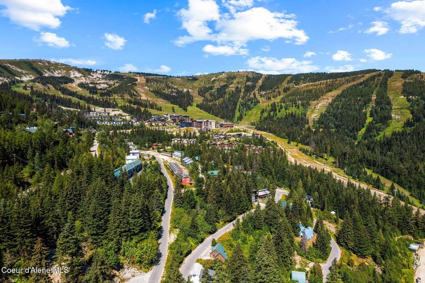 Experience peace and adventure at Cornice Condos on Schweitzer - photo 30