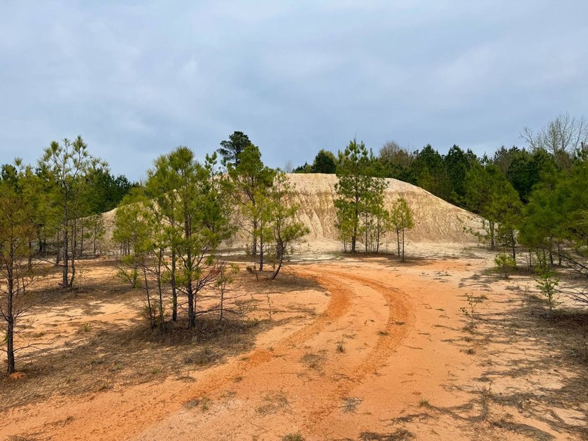 Located in Kemper County, Mississippi, this 42.5+/- acre tract - photo 5