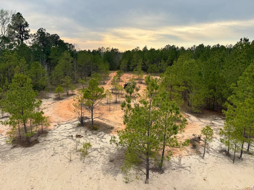 Located in Kemper County, Mississippi, this 42.5+/- acre tract - photo 6