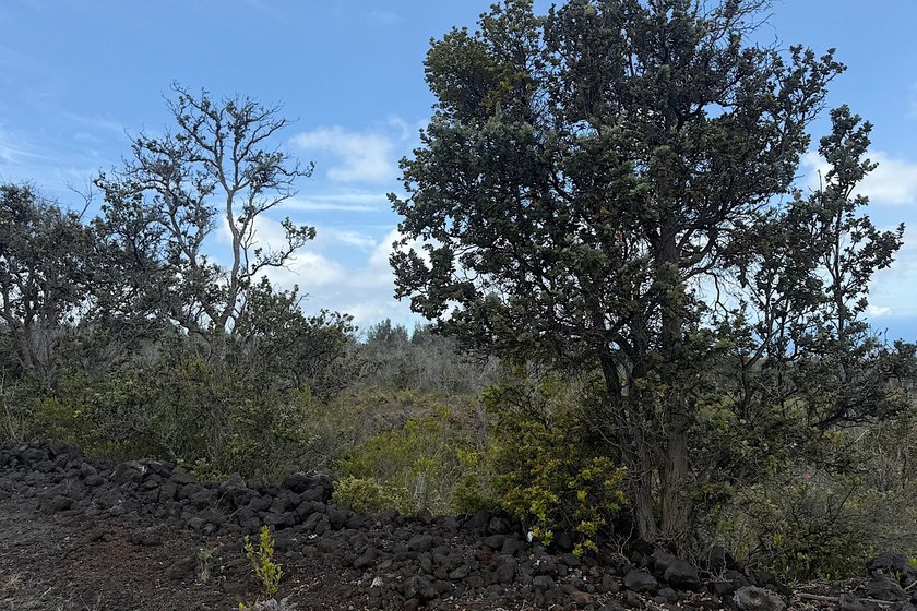 Discover the potential of this untouched one acre parcel in - photo 3