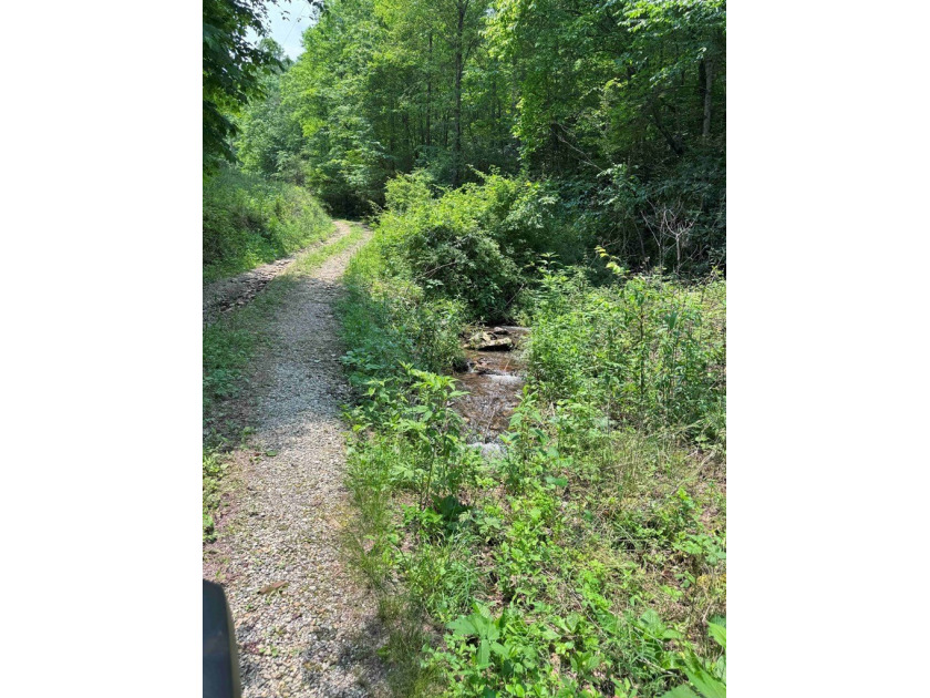 Opportunity Knocks to own this 88.41 acre parcel close to - photo 3