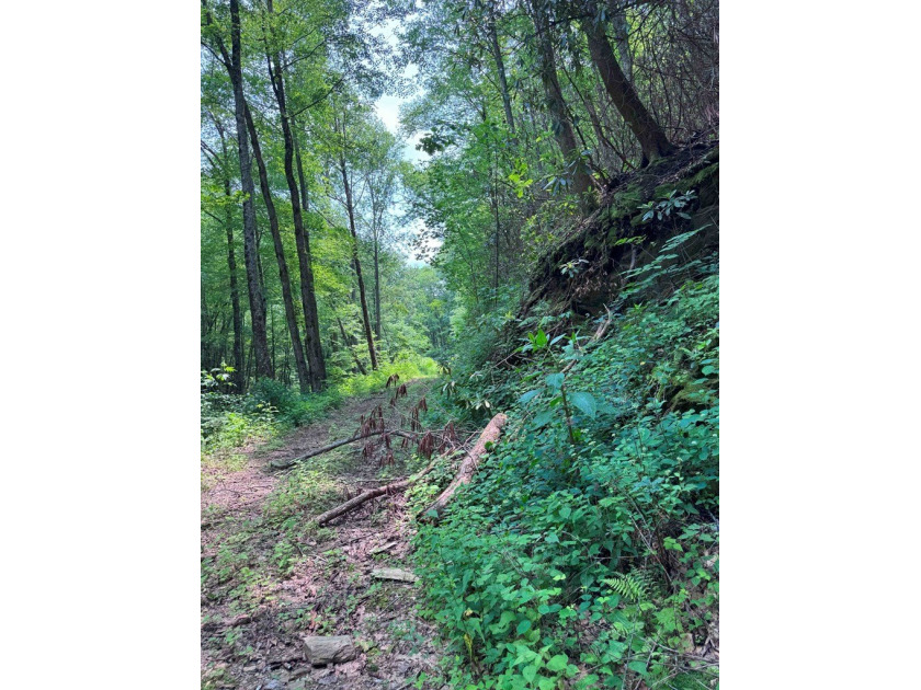 Opportunity Knocks to own this 88.41 acre parcel close to - photo 9