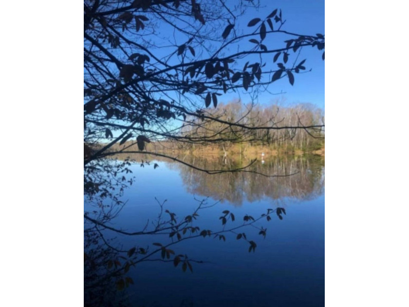 Winslow Lake in Oconto County! Enjoy year-round Northwoods - photo 2