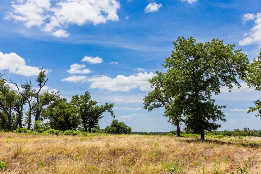 An extraordinary opportunity awaits on this 8.9 acre homesite - photo 7