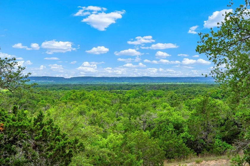 Adobe Springs Ranch is an exceptional 77.59 acre Hill Country - photo 8