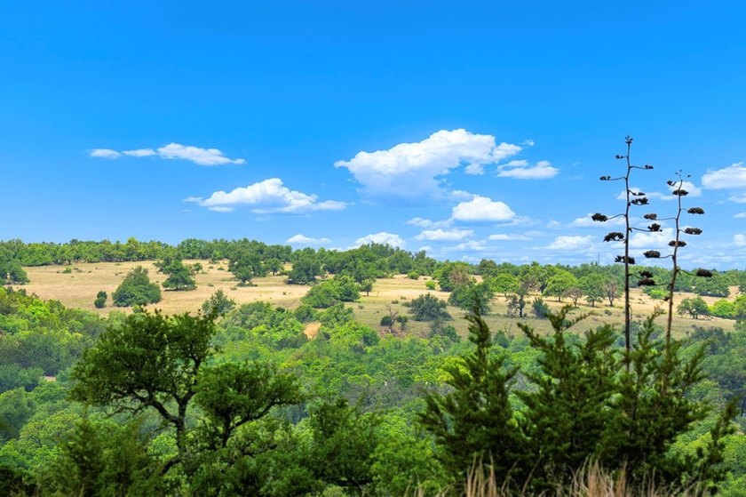 Adobe Springs Ranch is an exceptional 77.59 acre Hill Country - photo 10