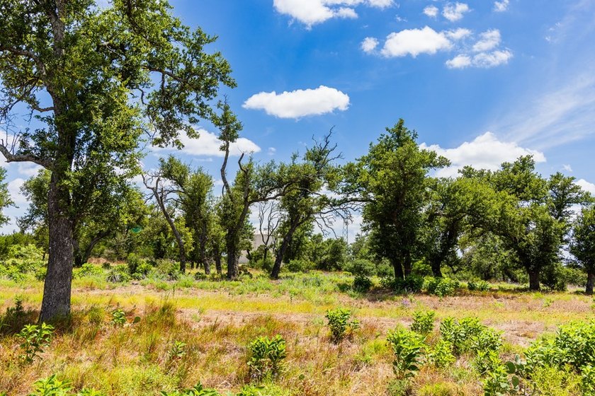 An extraordinary opportunity awaits on this 8.9 acre homesite - photo 3