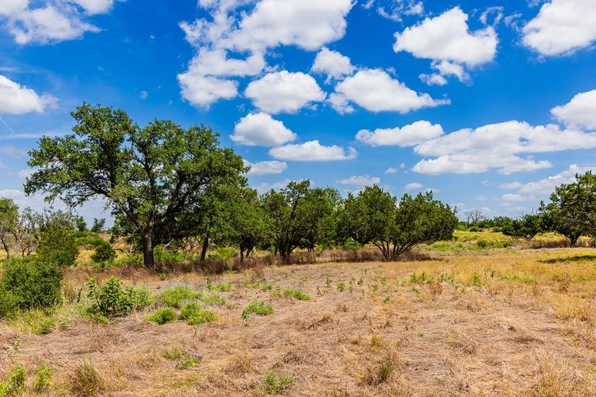 An extraordinary opportunity awaits on this 8.9 acre homesite - photo 9