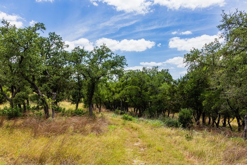 An extraordinary opportunity awaits on this 8.9 acre homesite - photo 8