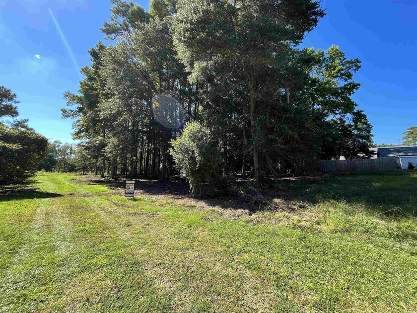 Great Location to build with NO HOA fees!! Great Lot to build - photo 2