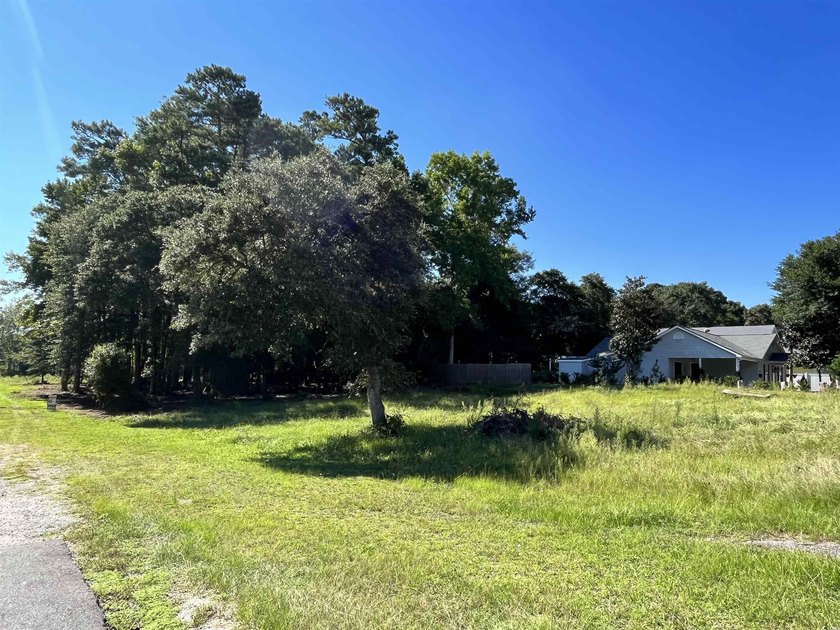Great Location to build with NO HOA fees!! Great Lot to build - photo 3