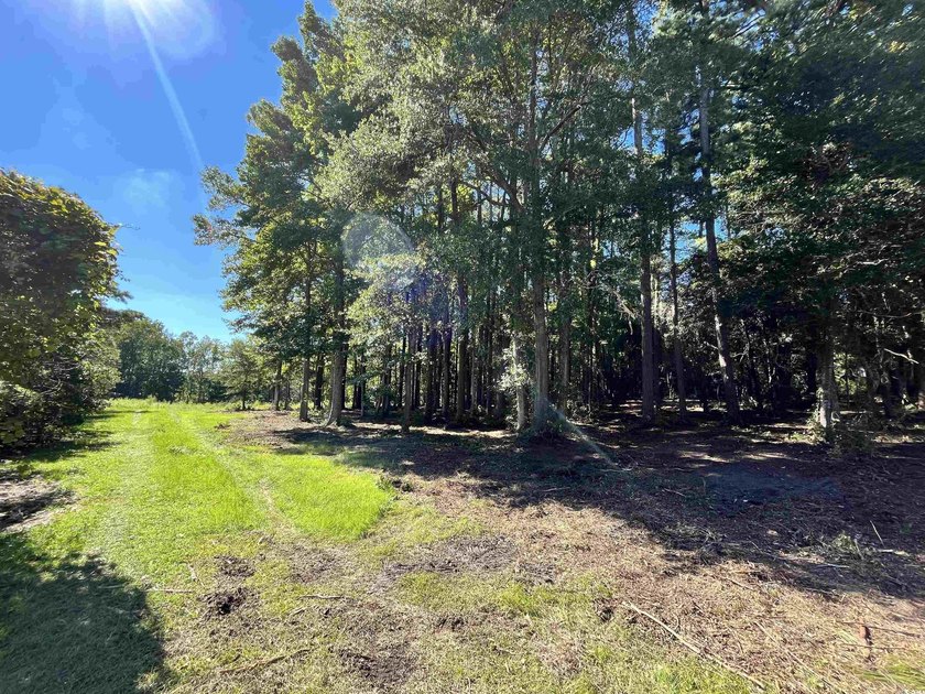 Great Location to build with NO HOA fees!! Great Lot to build - photo 5