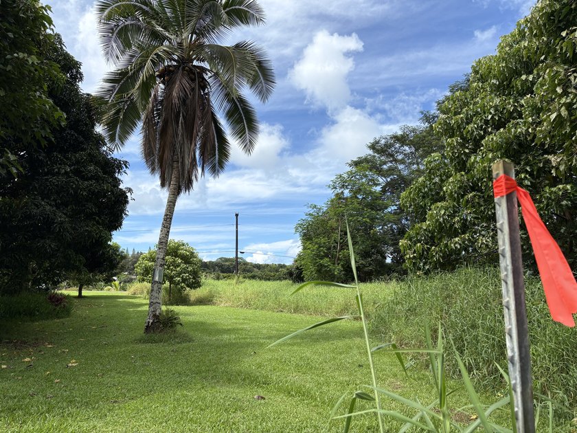 Build your dream home and guesthouse on this level lot and enjoy - photo 3