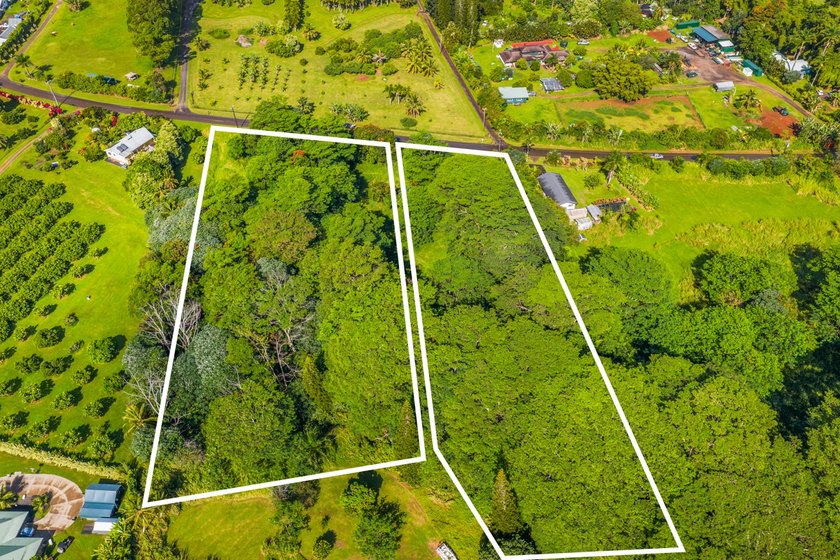 Build your dream home and guesthouse on this level lot and enjoy - photo 5