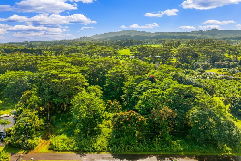 Build your dream home and guesthouse on this level lot and enjoy - photo 6