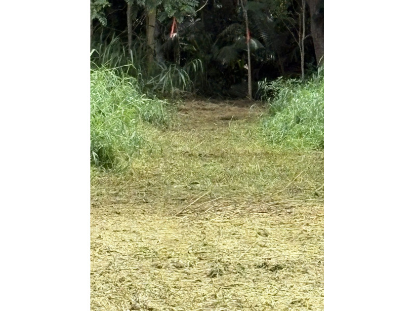 Northshore Kauai. Kuawa Road. Level 1.4 acres. Build a house and - photo 8