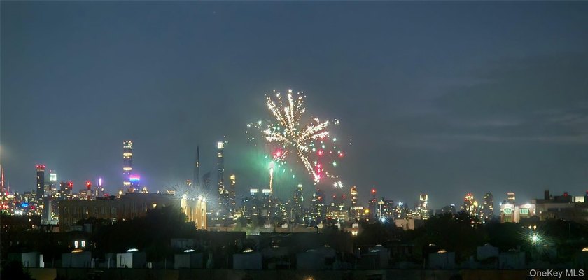 Facing West with a Skyline View, this Unit is Full of Natural - photo 3