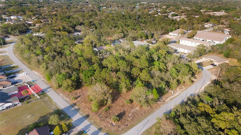 GREAT INVESTMENT PROPERTY! This large corner lot is zoned for 10 - photo 4