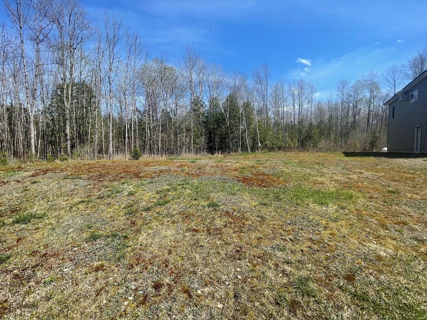 Private and economical 2 bedroom home, sits on 4.01 +/- acres - photo 25