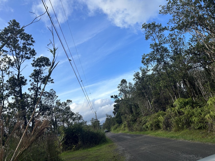 THIS UNSPOILED 3 ACRES OF NATIVE HAWAIIAN FOREST IS THE PERFECT - photo 3