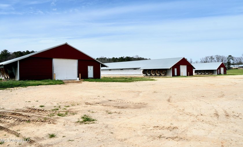 This turnkey modern Poultry Breeder Egg built in 2017 has - photo 4