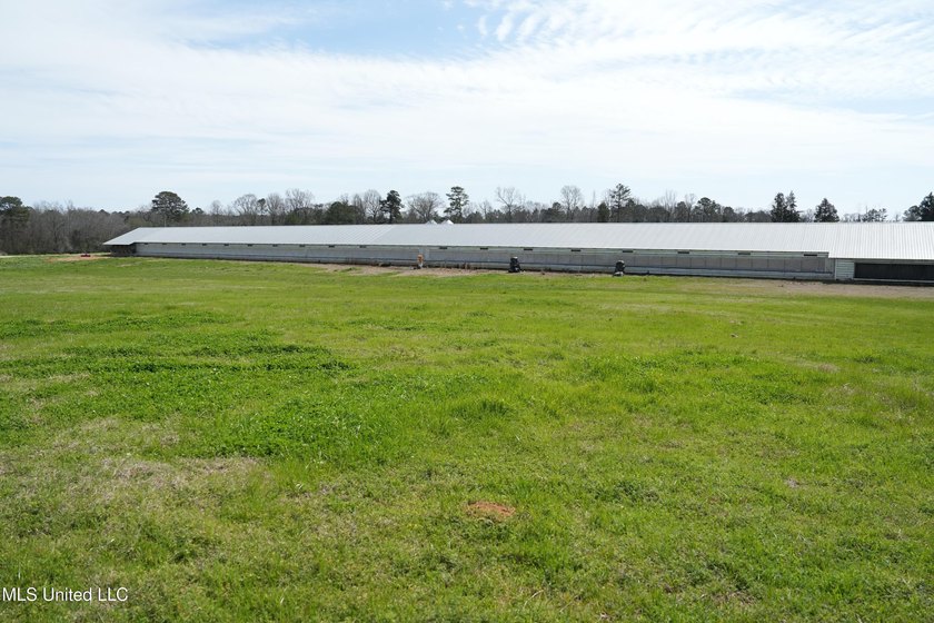 This turnkey modern Poultry Breeder Egg built in 2017 has - photo 8