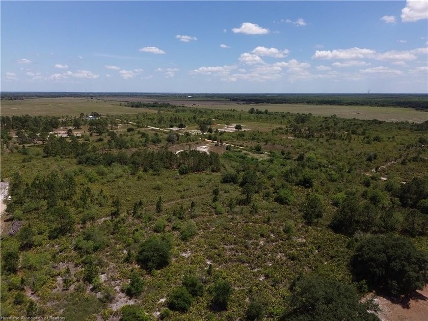 1.11-acre wooded parcel located in the rural Sebring Ranchettes - photo 3