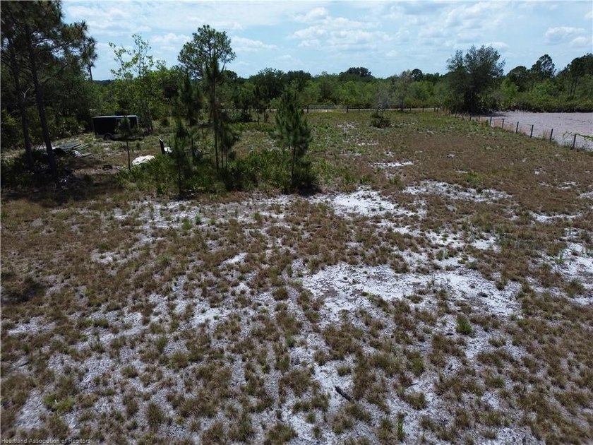 1.11-acre wooded parcel located in the rural Sebring Ranchettes - photo 4