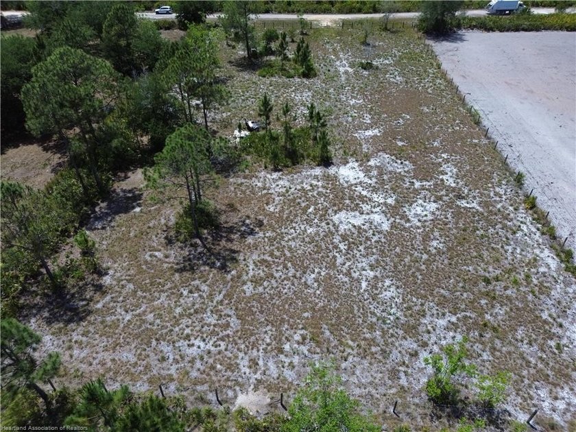 1.11-acre wooded parcel located in the rural Sebring Ranchettes - photo 5