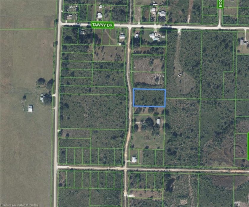 1.11-acre wooded parcel located in the rural Sebring Ranchettes - photo 7