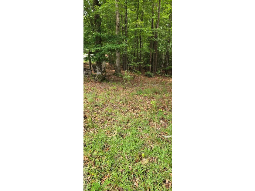 Great lot in Lake Gaston Estates ready for your home and - photo 11
