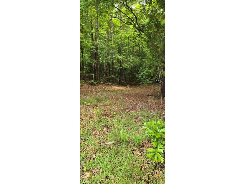 Great lot in Lake Gaston Estates ready for your home and - photo 12