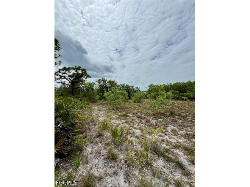 Oversized .46-Acre Lot in Flood Zone X - Build Your Pine Island - photo 5