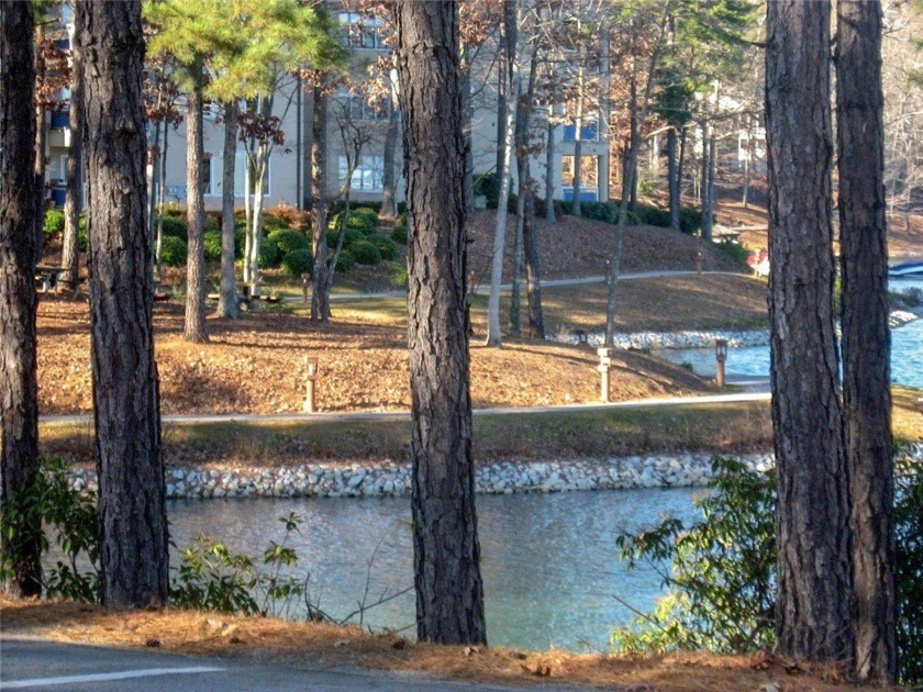 Nestled in the desirable full amenity community of Keowee Key SOL - photo 50