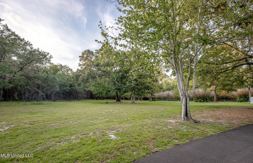 Gorgeous, centuries-old majestic oaks line these level, one-acre - photo 2